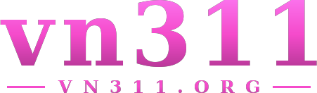 vn311 logo